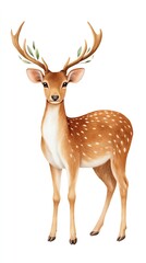 Spotted Deer with Olive Branch Antlers Watercolor Illustration