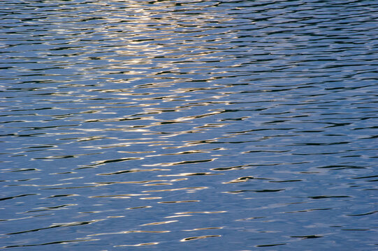 ranquil beauty of shimmering blue water rippling gently under sunlight, with golden highlights dancing across its surface like liquid light.