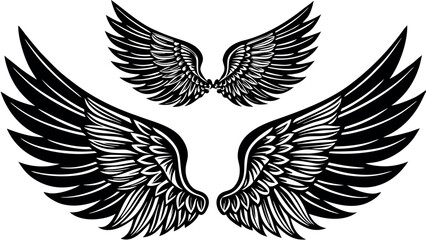 Fototapeta premium Black feathered wings collection spread open detailed graphic design white feathers