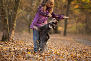 Girl playing with her dog in a colorful autumn park on a sunny afternoon
