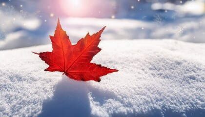 red maple leaf on a white snow in winter season autumn maple leaf in the snowy day for background