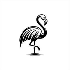 Fototapeta premium Stylized Black Flamingo Bird Illustration.