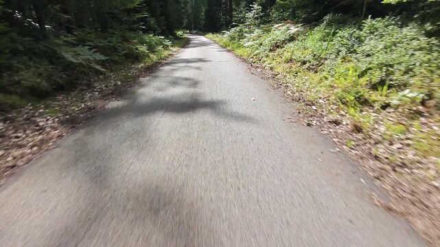 Legs in inline skates boots are moving on abandoned asphalt road in forest. 