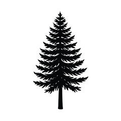 single-pine-tree-sketch-with-textured-trunk-and-fi.eps