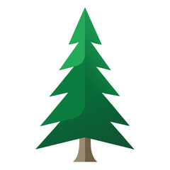 Green fir tree vector on white background.
