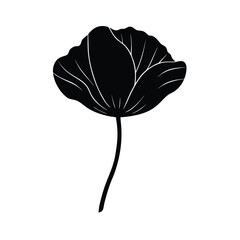 ink-style-poppy-petal-silhouette-with-organic-curv.eps
