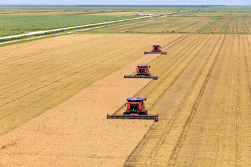 Rice harvest in south Florida photograph taken July 2025 © Mark