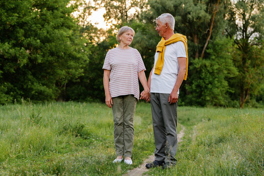 A loving senior couple with grey hair stands hand-in-hand in a grassy field, gazing at each other with warm smiles, surrounded by green trees and bathed in soft natural light.