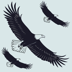 Eagles In Flight With Outstretched Wings Bold B