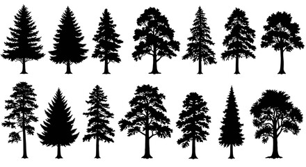 Silhouettes of various pine and deciduous trees in black  