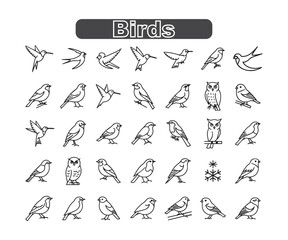 Minimalist Seasonal Bird Icons: Black & Line Art Collection