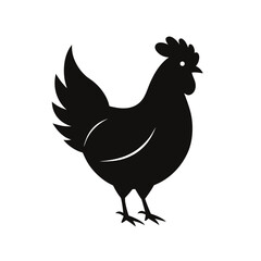 chicken black vector 