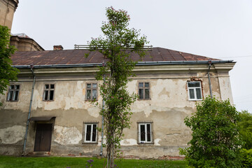 Metal cross overgrown with climbing plants in ancient monastery yard