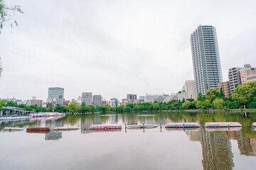Obraz premium Tokyo, Japan - 10 july 2025 Shinobazu Pond in Ueno park
