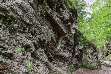 Part of precipitous layered cliff in mountain gorge with stream