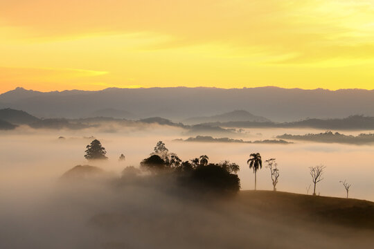 Luz do sol