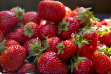 Erdbeeren