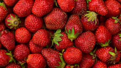 Red background of ripe strawberries. Close-up, top view. Healthy diet. Fresh strawberries in a container for sale.