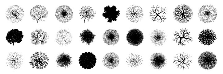 Collection of thirty-six black and white treetop illustrations. Vector set of round, textured, and bare treetop silhouettes for architectural drawings, landscaping plans, or map design. Top-down view.