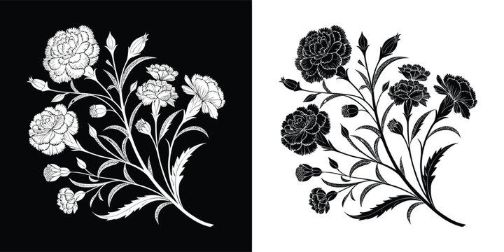 Floral bouquet of blooming carnation flowers with detailed leaves and buds in black and white vintage botanical silhouette style