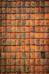 Roof tile texture. Rooftop house material. Repeat roof tile pattern. Classic home exterior roof design. Architecture element, housetop. Building top. Metal profile roof tile. Vector illustration.