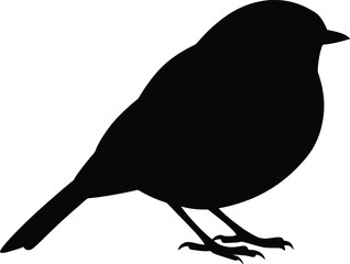 Obraz premium Vector Illustration of Robin Bird Silhouette in Nature