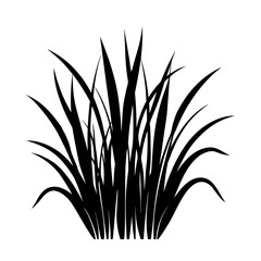 Detailed Long Leaf Grass in Natural Silhouette Design silhouette Art Vector illustration