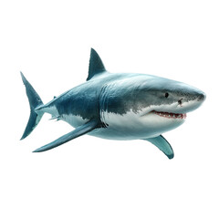 Great white shark isolated on transparent background