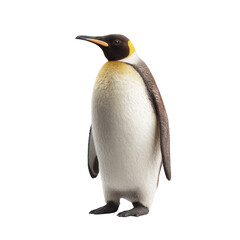 Fototapeta premium Embodying elegance, a solitary penguin stands proudly against a pristine white backdrop in a hyper-realistic render
