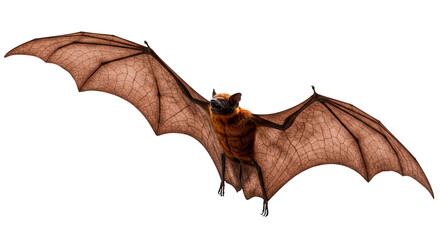 Naklejka premium Isolated flying bat image for wildlife conservation and halloween themed design elements and decorations on transparent background