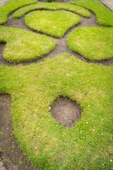 Figure made of green lawn grass in the park, free space. Green grass covered topiary, landscape design. Grass figure, topiary figure.