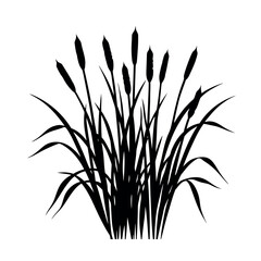 Tall Wild Grass Growing Freely in Open Field silhouette Art Vector illustration