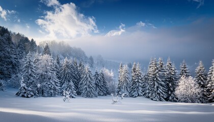 heavy snowfall blankets a winter landscape creating a serene and peaceful scene blizzard natural beauty