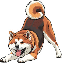 Playful Akita Inu Dog Bow - Happy Puppy Pose Illustration Vector