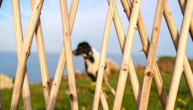 Light-colored wicker weave pattern—natural, textured, and artisanal.