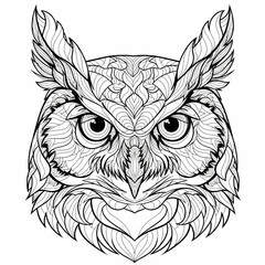 Obraz premium Intricate line art portrait of an owl's head, adorned with detailed feather patterns and intense gaze.