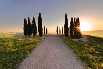Colorful, hazy dawn casting sunstars around the upper, second Val d'Orcia cypress group near the SS2 road, traversed by a dirt road. Tuscany-Italy-153