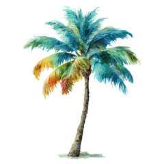 Coconut palm tree isolated on transparent background