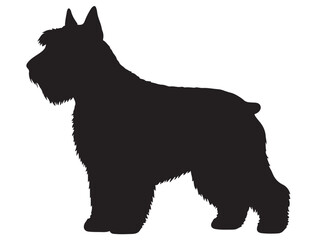 BLACK RUSSIAN TERRIER DOG SILHOUETTE