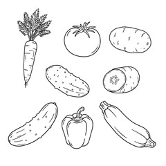 Fresh vegetable sketch collection for healthy eating, simple line art for organic food concept, cute veggie icons