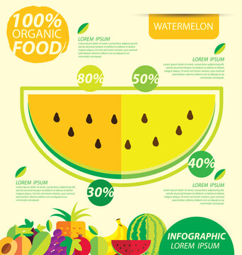 Watermelon. Infographic template. vector illustration.