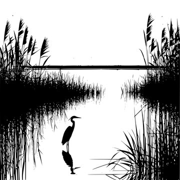 Vector silhouette of marshland with reeds and a heron on still water at sunrise