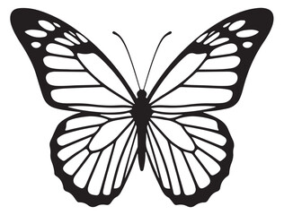 BUTTERFLY SILHOUETTE