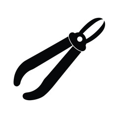 Isolated old rusty metal pliers, a vintage steel work tool on a white background