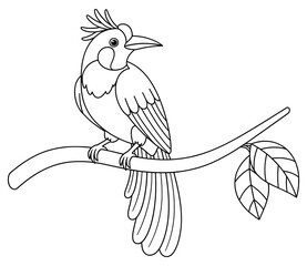 Elegant bird coloring page featuring a bird with decorative feathers and crest perched on a branch with leaves, illustrated in a detailed black-and-white line art style for creative coloring fun.