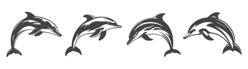 Fototapeta premium dolphin vector set, black and white design