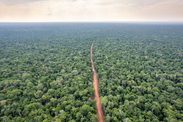 Beautiful Amazon rainforest trees and dirty road aerial drone view in the Xingu Indigenous Park territory, Brazil. Concept of deforestation, biodiversity, conservation, global warming and environment.