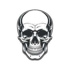 Monochrome Skull Graphic A Bold and Striking Image of Mortality and Anatomy for Tattoo Designs and Edgy Visual Projects