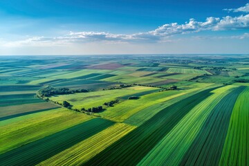Obraz premium Aerial view of agricultural fields showing green varied crop patterns under a blue sky with light clouds