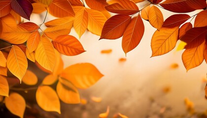 vibrant autumn leaves with stunning orange shades overhead in nature